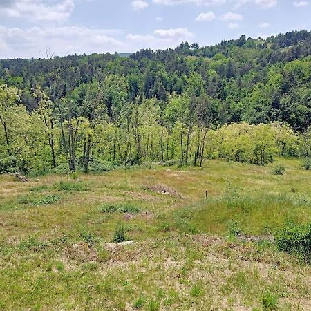 Ecrin De Verdure En Ardeche Verte Colombier-le-Vieux Екстер'єр фото