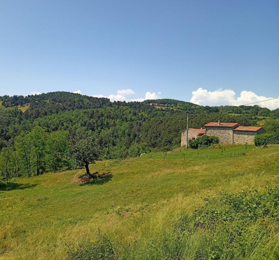 Ecrin De Verdure En Ardeche Verte Colombier-le-Vieux Екстер'єр фото