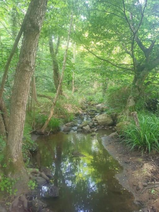 Ecrin De Verdure En Ardeche Verte Colombier-le-Vieux Екстер'єр фото