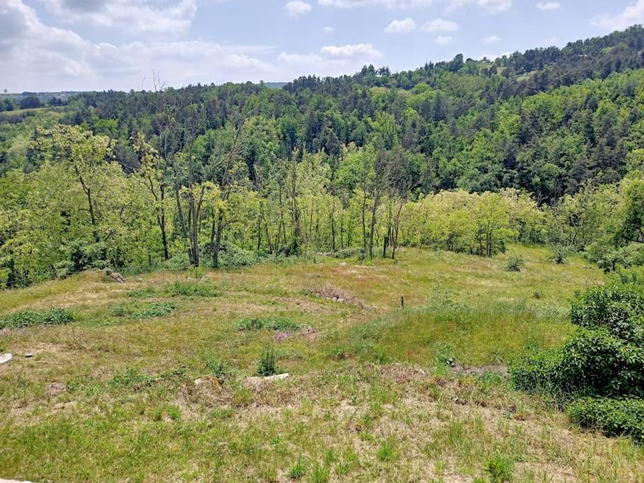Ecrin De Verdure En Ardeche Verte Colombier-le-Vieux Екстер'єр фото