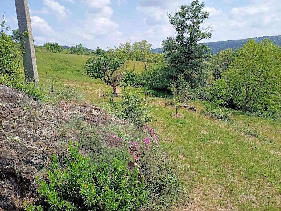 Ecrin De Verdure En Ardeche Verte Colombier-le-Vieux Екстер'єр фото